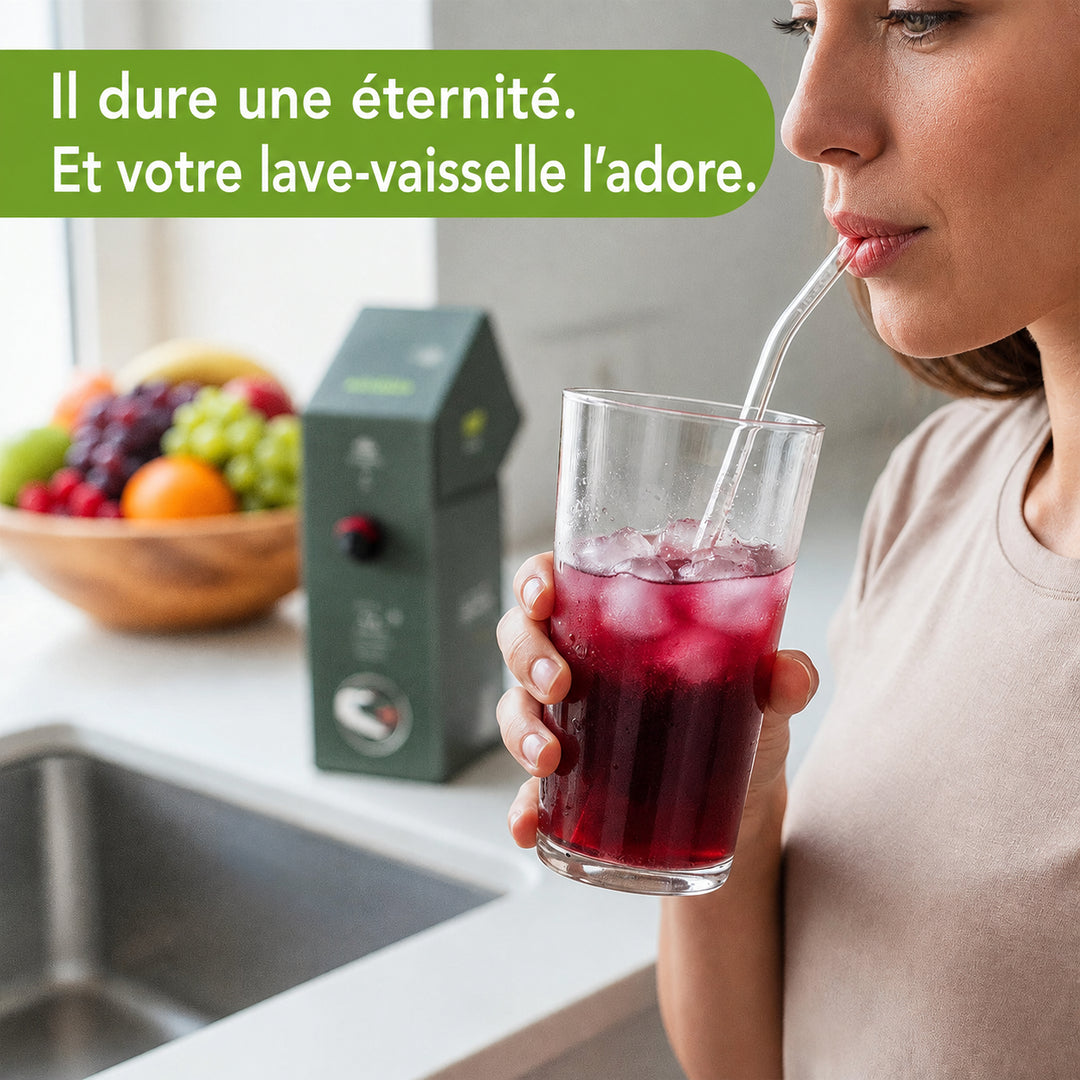 JuiceBox™ Lot de pailles en verre 4+1