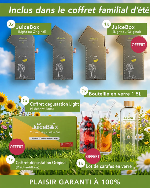 Coffret familial JuiceBox avec carafes